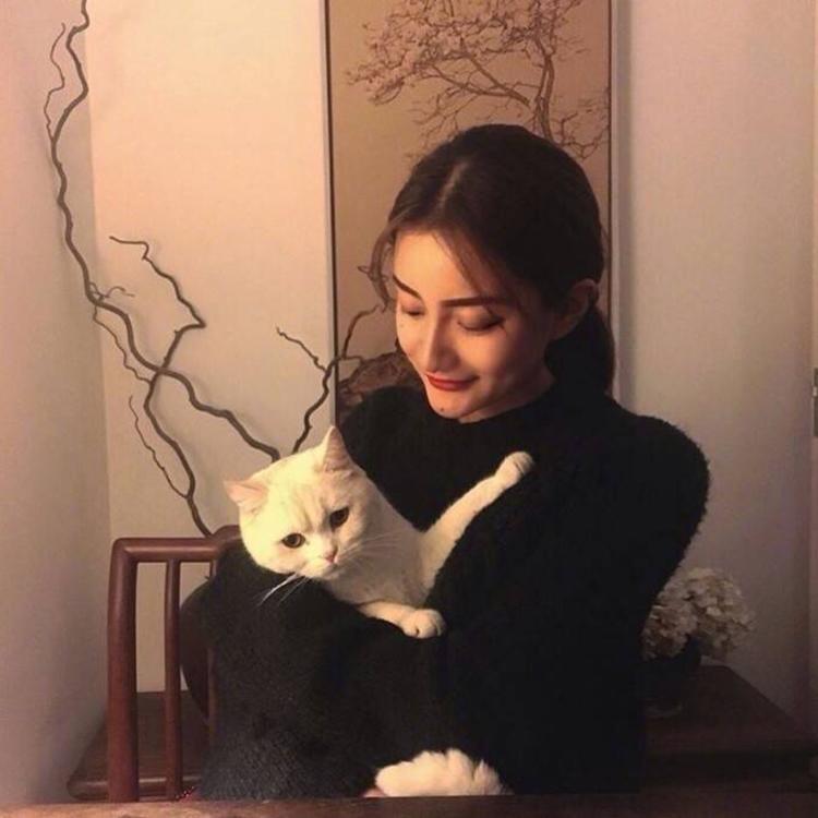东京（明治维新后故事主要发生地） - 会员专享内容在线观看 - 网络观影
